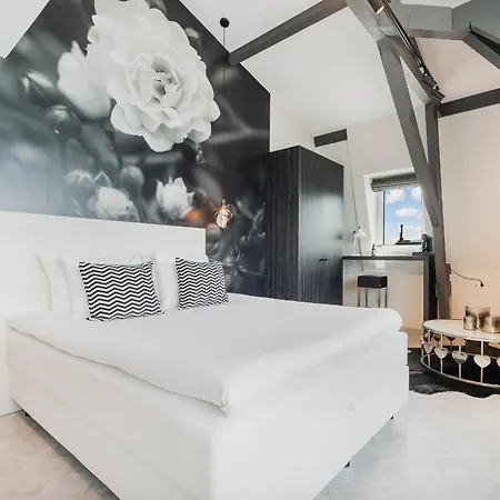 Hotel Maassluis 3* ماسلاوس