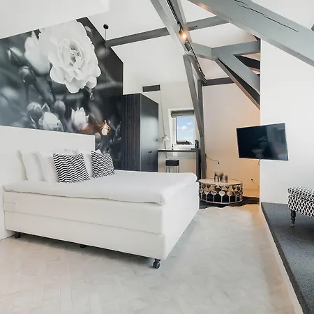 Hotel Maassluis 3* Maassluis