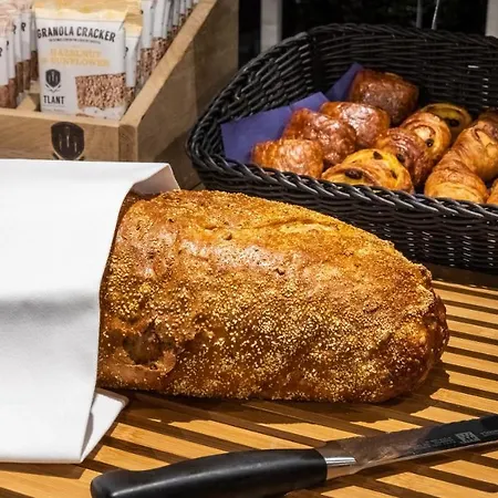 Hotel Hotel Maassluis 3*